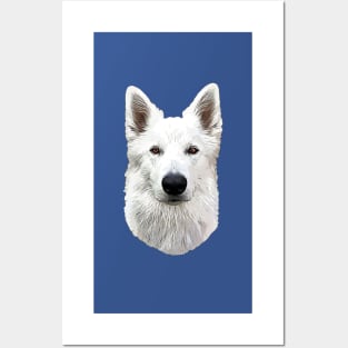 White Swiss Shepherd Dog Posters and Art